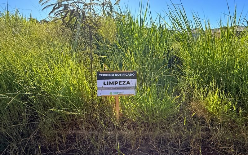 Campo Mourão: SEMA emite mais de 3,3 mil notificações por falta de limpeza em terrenos de janeiro a outubro