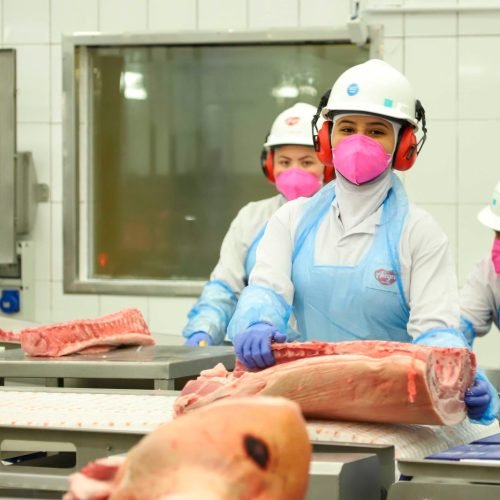 Agência do Trabalhador realiza mutirão com 50 vagas de emprego para mulheres nesta quinta-feira