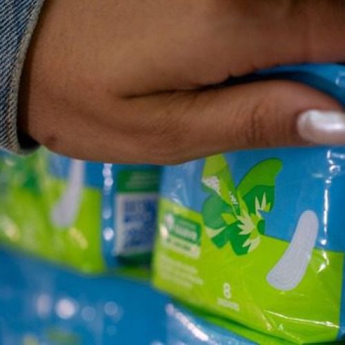 Campo Mourão garante entrega gratuita de absorventes para mulheres em situação de vulnerabilidade