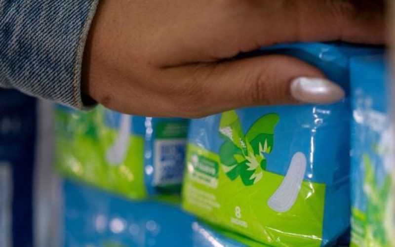 Campo Mourão garante entrega gratuita de absorventes para mulheres em situação de vulnerabilidade