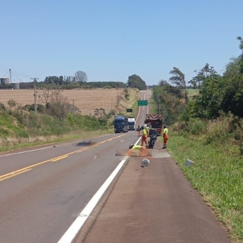 Motociclista e trabalhador ficam feridos em acidente na Estrada Boiadeira