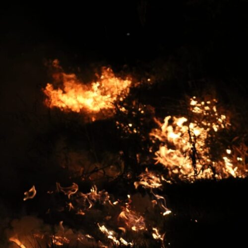 defesa civil alerta sobre riscos de incendio