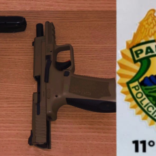 Dois Presos por Porte Ilegal de Arma de Fogo de Uso Restrito em Araruna