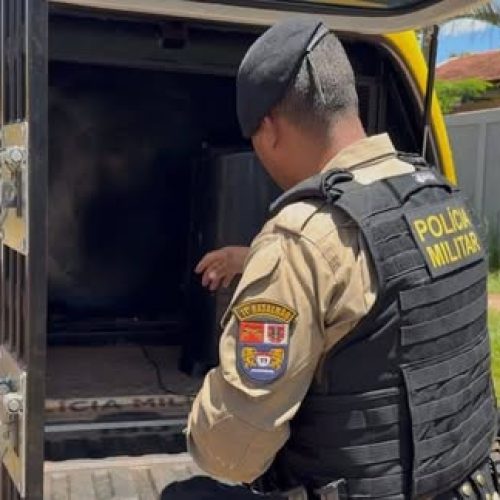 OPERAÇÃO DA PM FECHA PONTO DE TRÁFICO E OITO PESSOAS SÃO ENCAMINHADAS EM CAMPO MOURÃO