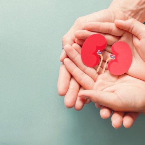 Campanha “Setembro Verde” reforça importância da doação de órgãos