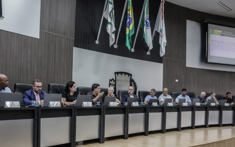 CPI do Conselho Tutelar de Campo Mourão terá nova composição