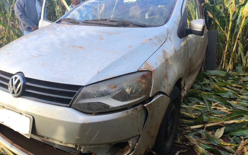 Mulher e Filho Saem Ilesos Após Capotamento na PR-553 ao Desviar de Animal