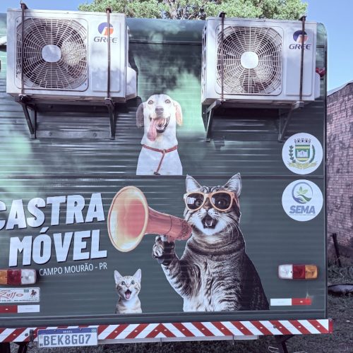 Prefeitura de Campo Mourão realiza inscrições para o Castramóvel neste sábado (28)