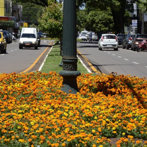 Campo Mourão regulamenta circulação de veículos pesados na área central