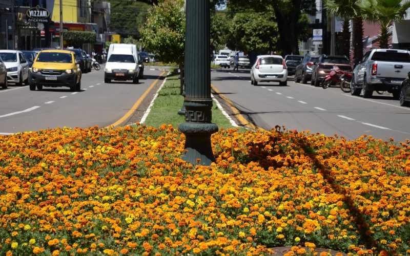 Campo Mourão regulamenta circulação de veículos pesados na área central