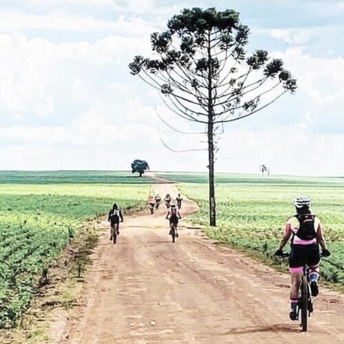 Campo Mourão será sede de evento de Implementação do Território Turístico da Comcam