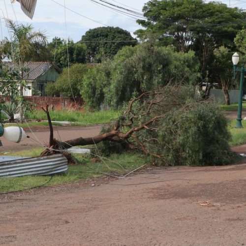 Campo Mourão decreta estado de calamidade pública após temporal com granizo e vendaval