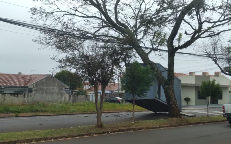 Contêiner Cai de Caminhão Após Enroscar em Árvore em Campo Mourão