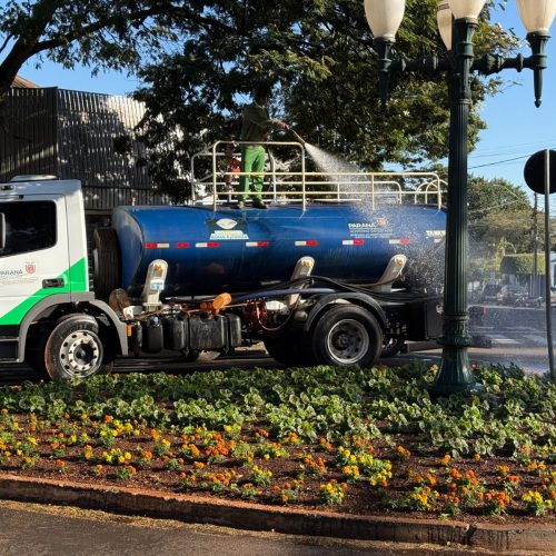 Prefeitura de Campo Mourão mantém plantio e cuidados com canteiros urbanos