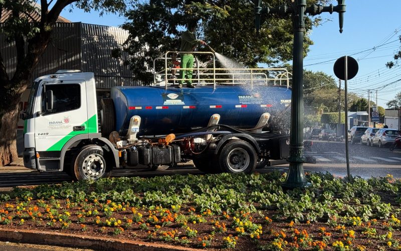 Prefeitura de Campo Mourão mantém plantio e cuidados com canteiros urbanos