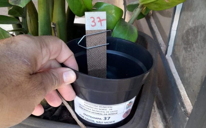 Saúde alerta: dengue está com alto índice em Campo Mourão