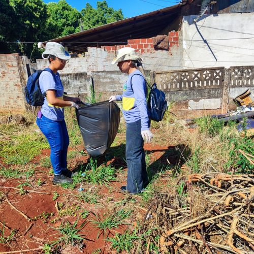 Cuidados com o mosquito da dengue devem ser reforçados com o clima mais quente e úmido