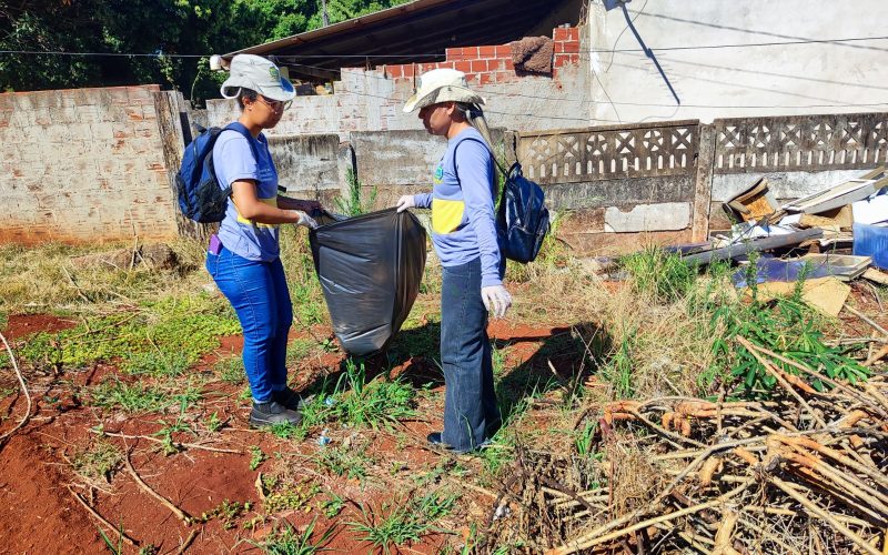 Caminhada ecológica abre programação da Semana do Meio Ambiente em Campo Mourão