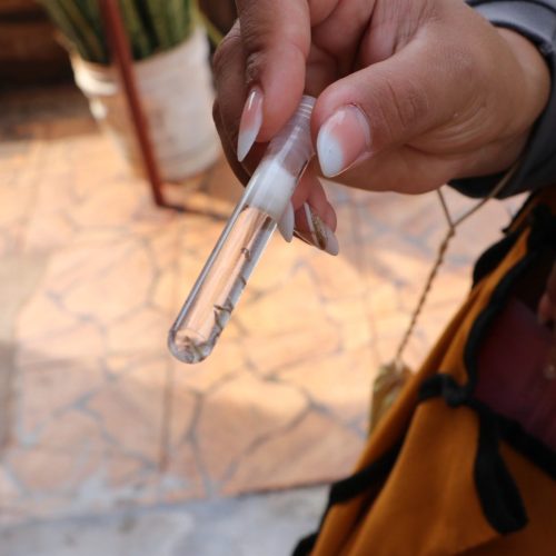 Inovação no combate à dengue: borrifação residual intradomiciliar começa a ser aplicada em Campo Mourão