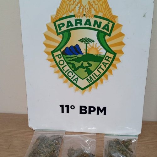 Dois Homens São Presos por Posse de Drogas para Consumo em Campo Mourão