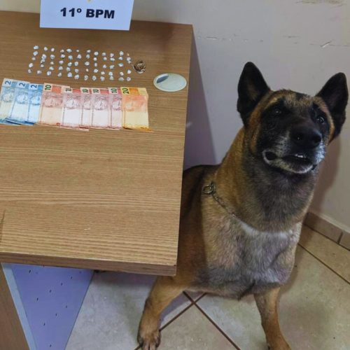 Polícia Militar apreende adolescente e entorpecentes em Mariluz