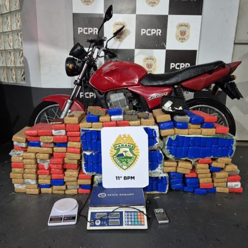 Polícia Militar desarticula ponto de tráfico e apreende 152 kg de drogas em Campo Mourão