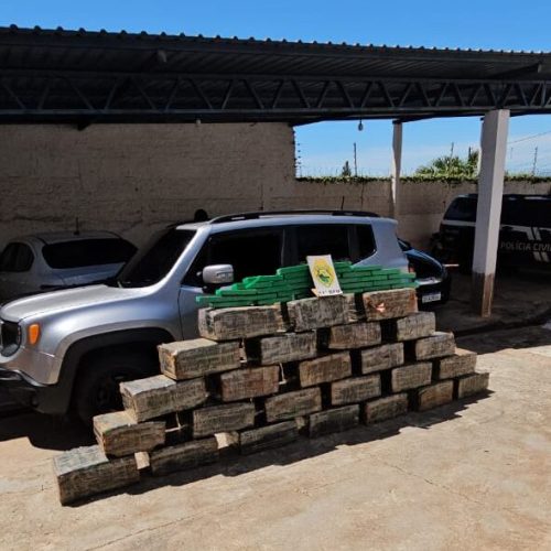 Combate ao Tráfico: PM Apreende Mais de Meia Tonelada de Maconha em Engenheiro Beltrão