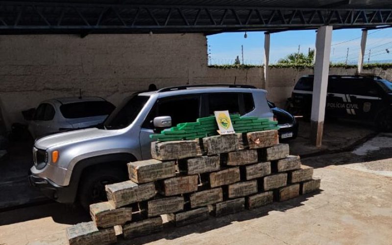Combate ao Tráfico: PM Apreende Mais de Meia Tonelada de Maconha em Engenheiro Beltrão
