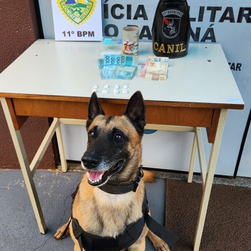 Ao cumprir mandado de busca, pm prende homem e apreende drogas em Roncador