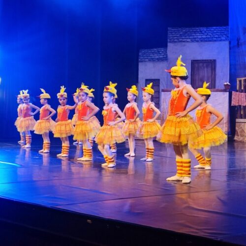 Cultura divulga resultado preliminar de projetos inscritos no FEPAC 2025