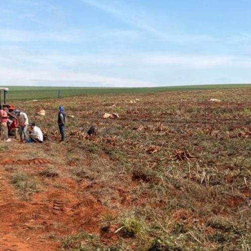Força-tarefa resgata 18 trabalhadores em situação análoga à escravidão em fazenda de Ivaté, interior do Paraná