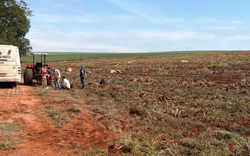 Força-tarefa resgata 18 trabalhadores em situação análoga à escravidão em fazenda de Ivaté, interior do Paraná