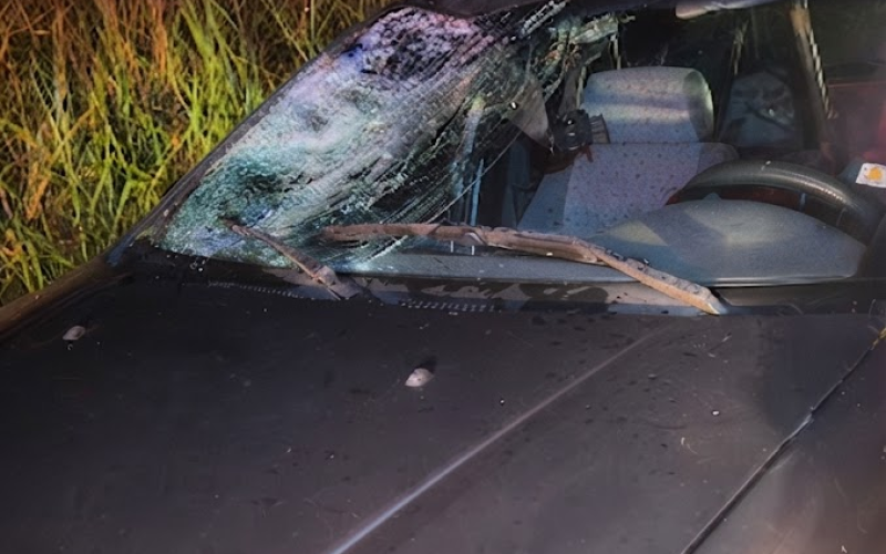 Homem fica gravemente ferido após ser atropelado na PR-558, entre Campo Mourão e Araruna