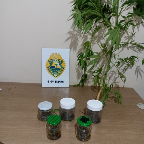 Homem é preso por tráfico de drogas no Jardim Bandeirantes, em Campo Mourão