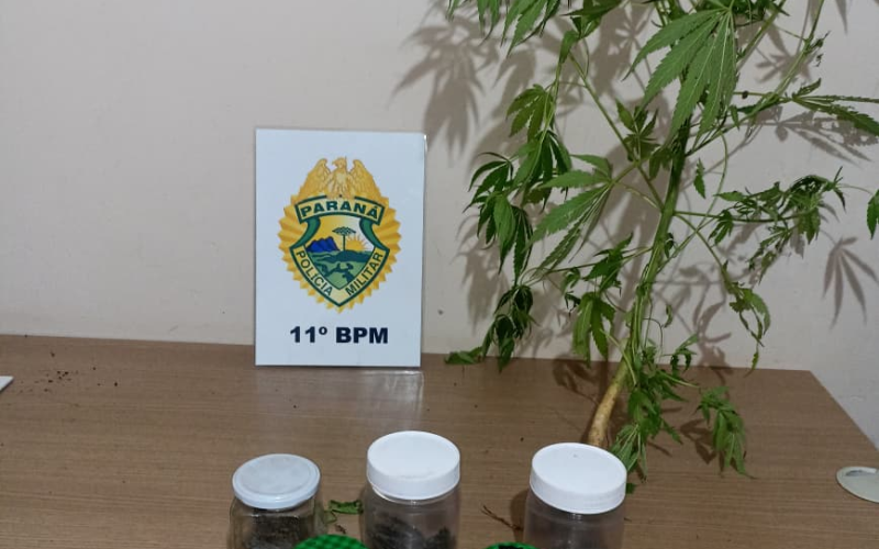 Homem é preso por tráfico de drogas no Jardim Bandeirantes, em Campo Mourão