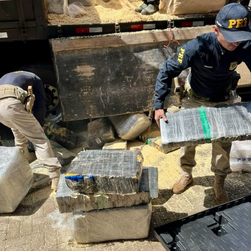 PRF APREENDE 2,6 TONELADAS DE MACONHA ESCONDIDAS EM CAMINHÃO COM MARAVALHA EM CASCAVEL