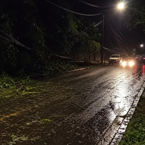PERIGO NA PISTA! Motociclista fica ferido após encontrar galhos espalhados em rua de Campo Mourão