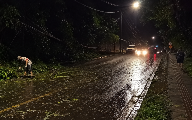 PERIGO NA PISTA! Motociclista fica ferido após encontrar galhos espalhados em rua de Campo Mourão