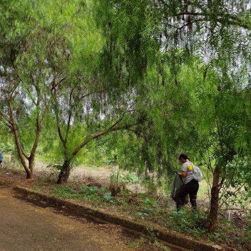 Jardim Paulista recebe ação de conscientização ambiental e mutirão de limpeza neste sábado (1º)