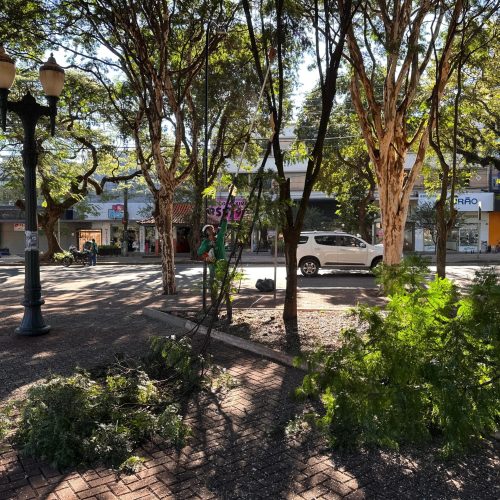 Prefeitura de Campo Mourão realiza ação intensiva de limpeza e manutenção nas praças centrais