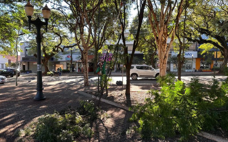 Prefeitura de Campo Mourão realiza ação intensiva de limpeza e manutenção nas praças centrais