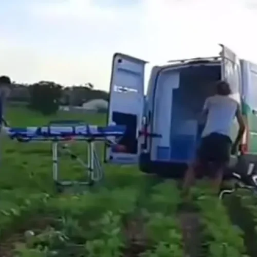 Resgate Vira Bate-Boca na Plantação de Soja: A “Vítima” Só Queria tirar um Cochilo!