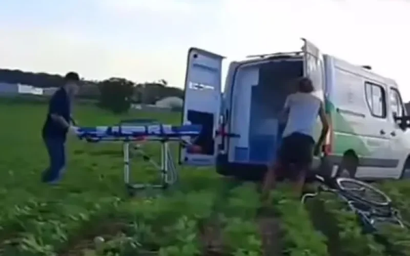 Resgate Vira Bate-Boca na Plantação de Soja: A “Vítima” Só Queria tirar um Cochilo!