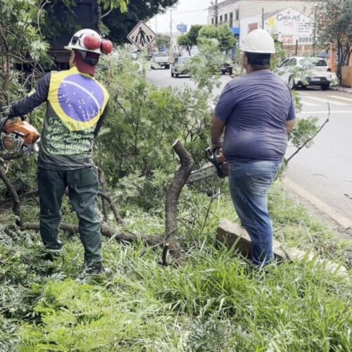 Prefeitura inicia manutenção na Avenida Presidente Kennedy após municipalização