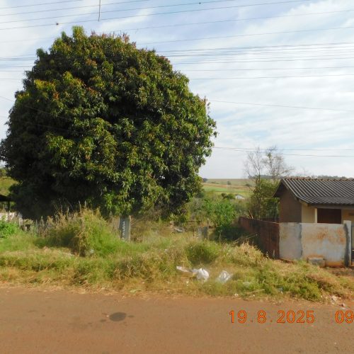 Prefeitura emitiu mais de 1.500 notificações por negligência com limpeza de terrenos em 2025