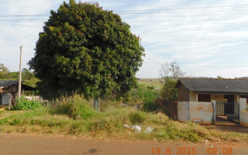 Prefeitura emitiu mais de 1.500 notificações por negligência com limpeza de terrenos em 2025