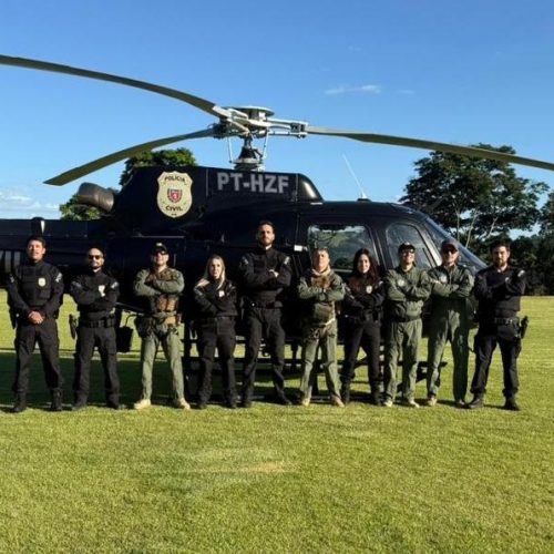 Operação da Policia Civil desarticula grupo especializado em furto de gado em Iretama