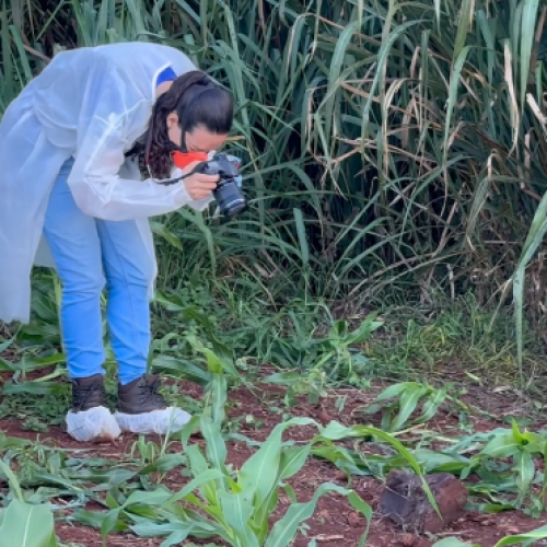 Corpo com sinais de violência é encontrado na entrada de Peabiru