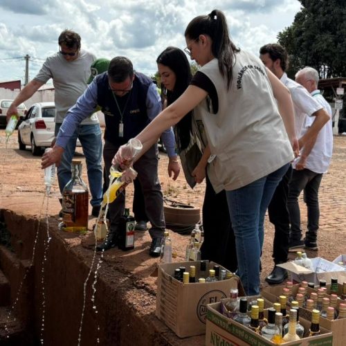 Procon de Campo Mourão descarta 211 litros de bebidas alcoólicas irregulares apreendidas em força-tarefa