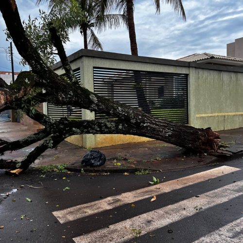 AVISO DE UTILIDADE PÚBLICA-Vento e chuva forte provocam queda de energia que afeta o abastecimento de água em bairros de Campo Mourão